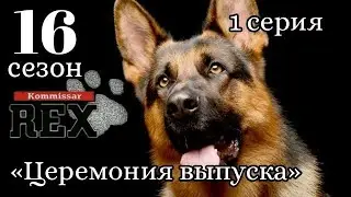 Комиссар Рекс, 16 сезон, 1 серия «Церемония выпуска»