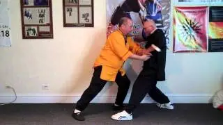 4-Forms Pushing Hands Demo by Gary J. Clyman from Temple Style Tai Chi.