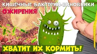 Измените микрфолору кишечника, чтобы похудеть и снизить уровень сахара. Простой метод