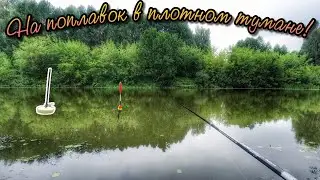 НОВАЯ КОРМУШКА. МНОГО ХОРОШЕЙ РЫБЫ НА КУКУРУЗУ И ПЕРЛОВКУ.