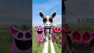 WHICH TEAM IS BETTER ? COMPARISON ZOONOMALY POPPY PLAYTIME 3 CATNAP DOGDAY LION BUBBA PIG in Gmod !