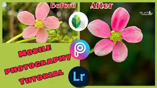 Mobile ko Banaya DSLR |🌸🌸 Mobile Camera Flower Photography Tutorial