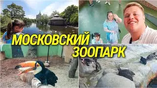 МОСКОВСКИЙ ЗООПАРК😳 ГДЕ ЖИВОТНЫЕ?🤔 КРУТЫЕ ЖИРАФЫ, ПТИЦЫ, А КТО ЕЩЕ ЕСТЬ?
