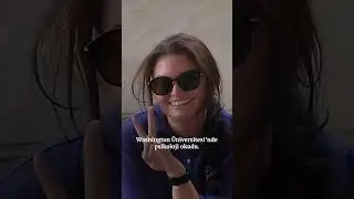 Ayşenur Ezgi Eygi: İsrail askerlerinin öldürdüğü Türk aktivist kimdir? 