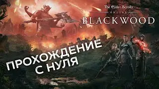 💎 Путь новичка в ТЕСО 💎 The Elder Scrolls Online💎[2]