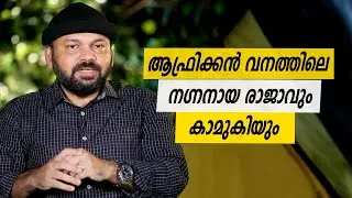Oru Sanchariyude Diary Kurippukal | EPI 547 | BY SANTHOSH GEORGE KULANGARA | SAFARI TV