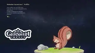 Ardilla [Guía Captura Red Ubicuidad] GENSHIN IMPACT