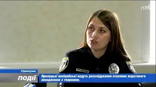 Прилуцькі поліцейські ведуть розслідування стосовно жорстокого поводження з твариною. 2023-06-09