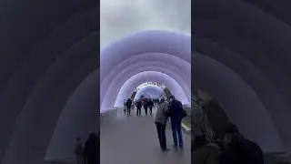 Для гостей столицы Арки с подсветкой и нарядные ёлочки 