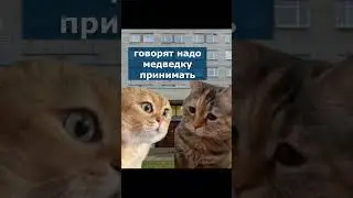 Когда даже кот знает, что надо лечить #туберкулез противотуберкулезными препаратами