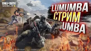Тренимся с чатом в РЕЙТИНГЕ #67 / СТРИМ CODM 