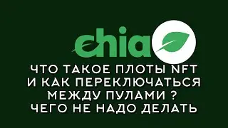 Что такое плоты NFT для пулов Chia? Как переключаться между пулами ? Чего не надо делать.