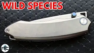 SPECTACULAR! - Remette Wild Species Titanium Folding Knife - Full Review