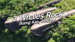 [DRONE] 3 Whales Rock, Bueng Kan | Thailand | Traveller | Alissa Stehlin