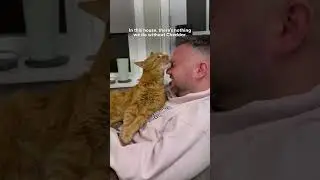 Cat Breaks Into Bathroom To Get To Dad | The Dodo