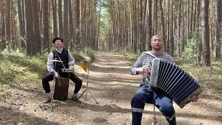 ♫ ♫ Это просто шедевр ! ! ! Мой ласковый и нежный зверь (Евгений Дога - Семён Жоров - Борис Еремеев)