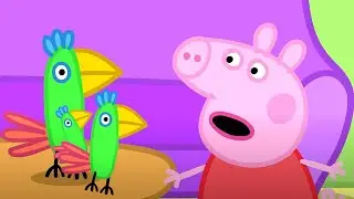 Peppa Pig Meets Parrots! 🐷 | Peppa Pig | Full Episode Collection | Cartoons for Kids