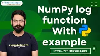 How to use the NumPy log function in Python | NumPy log function