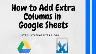 How to Add Extra Columns in Google Sheets