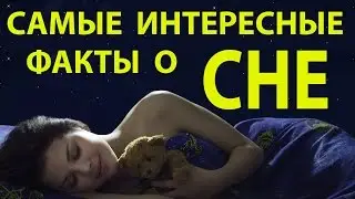 САМЫЕ ИНТЕРЕСНЫЕ ФАКТЫ О СНЕ