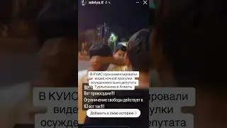 #куис