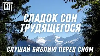 Да торжествуют святые во славе, да радуются на ложах своих | Звуки природы | Библия | Relaxing