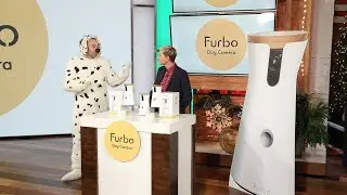 Furbo Is a Treat for Dogs and Owners Alike!