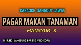 PAGAR MAKAN TANAMAN KARAOKE  - MANSYUR S