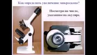 Микроскоп правила работы с микроскопом