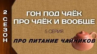 Гон под чаёк про чаёк и вообще - Про питание чайников 2 Сезон  5 серия