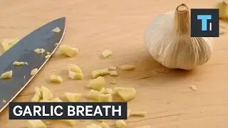 Why eating garlic makes your breath stink