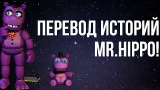 Что же говорит Mr.Hippo в своих историях?