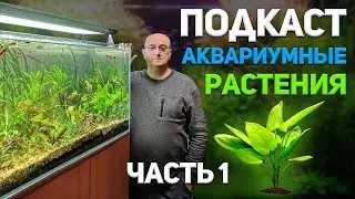 Аквариумные растения. Большой подкаст с А. Ершовым. Часть 1