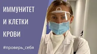 ПРИЧИНА Анемий из-за КОСТНОГО Мозга. Гемопоэз-фабрика производства ВСЕХ клеток КРОВИ