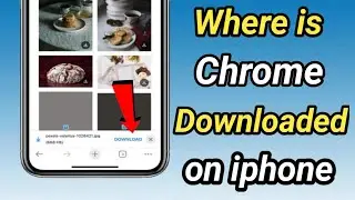 How to find chrome Downloaded files on iphone