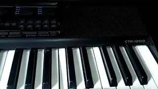 Furelisa piano classical in ctk1200 Casio by pratanu banerjee