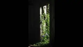 Abandoned Apartment Scene - Unreal Engine 5