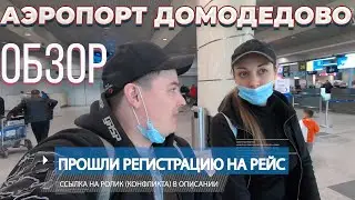 ОБЗОР-Аэропорт ДОМОДЕДОВО (DME), РЕГИСТРАЦИЯ НА РЕЙС, КАФЕ, ОТДЫХ