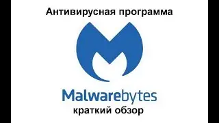 Антивирусная программа Malwarebytes, версия 2024 года - краткий обзор.