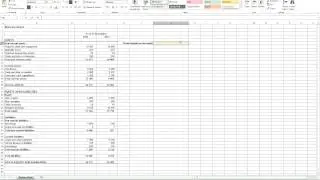 Calculating Fixed Assets to Net Worth Ratio in Excel