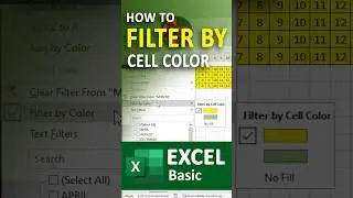 How to Filter by cell color in MS Excel | Excel Basic
