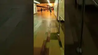 17 августа 2023 г.