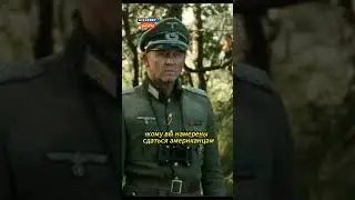 Отказались сдаться 