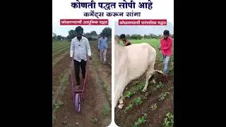 तुमच्याकडे जर बैल नसतील तर तर हे सायकल कोळपणी यंत्र उत्तम पर्याय आहे  cycle kolapani yantra