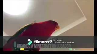 loro rojo meme minecraft :V .