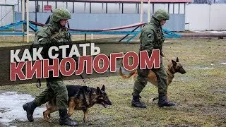 Как стать кинологом