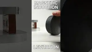 Magnetic Induction Levitation