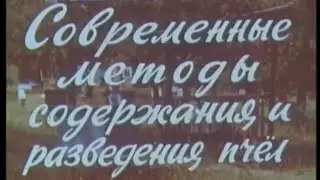 Современные методы содержания и разведения пчёл. Фильм СССР