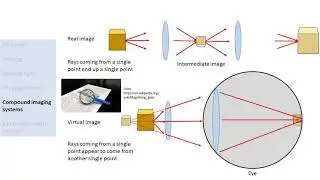 University level introductory optics course