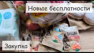 Закупка на неделю для семьи в Германии с ценами. Новые акции.